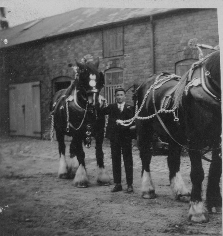 HorsesInYardOldFarmBoy1934